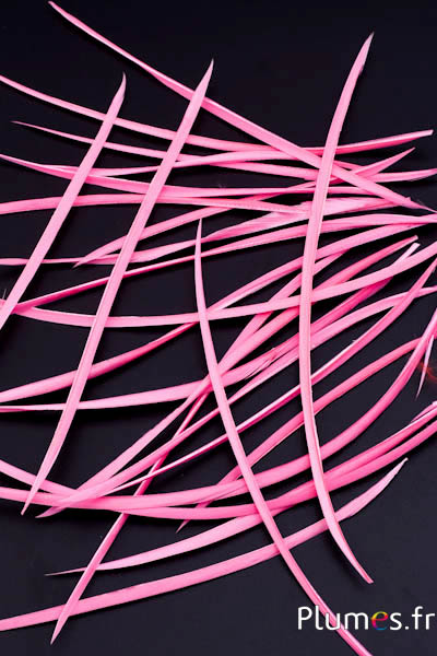 Oie strippé  - 10-17 cm - rose 